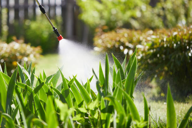 24/7 Emergency Mosquito Control experts in Midway, FL